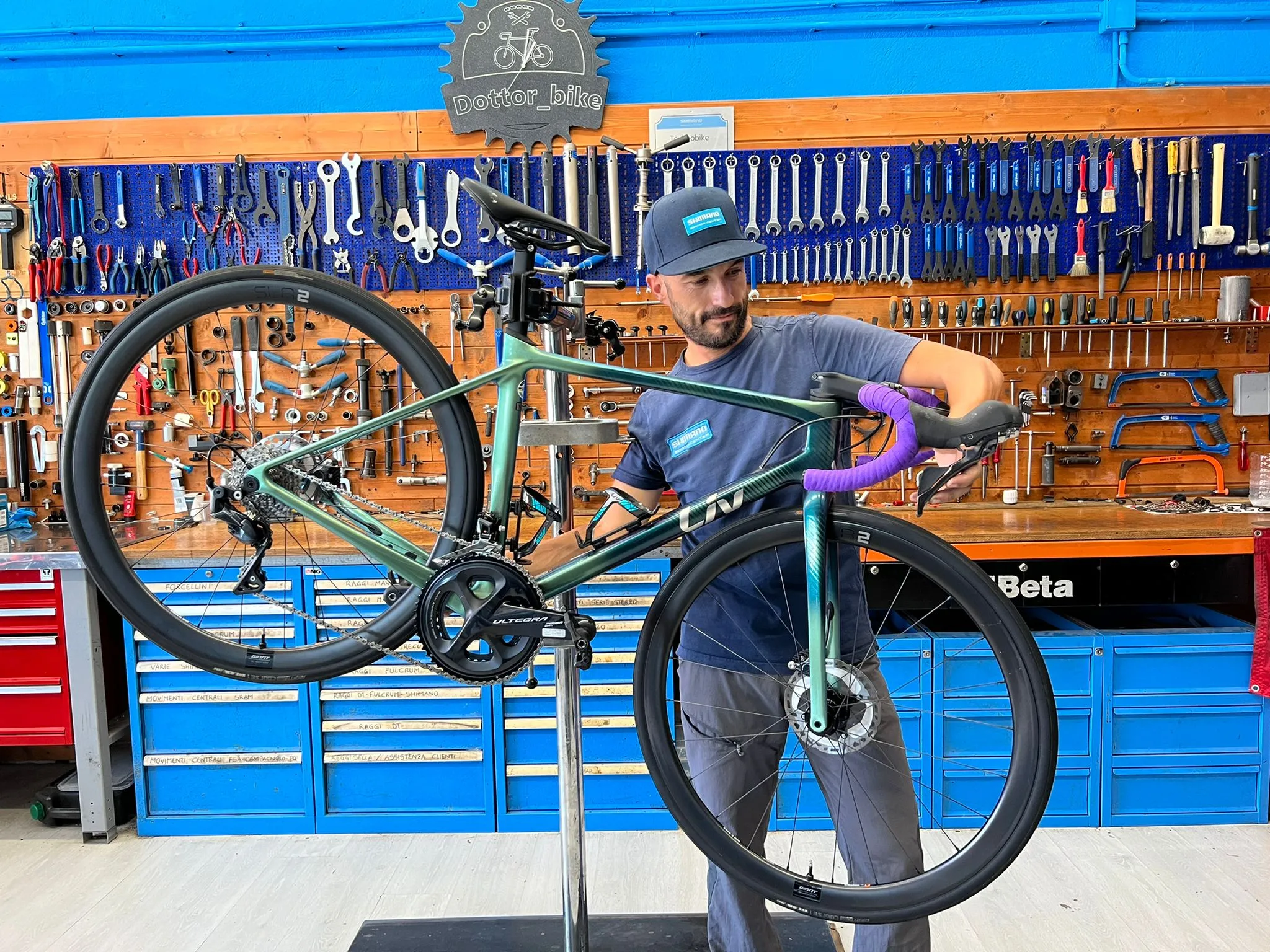 Servizio di check up